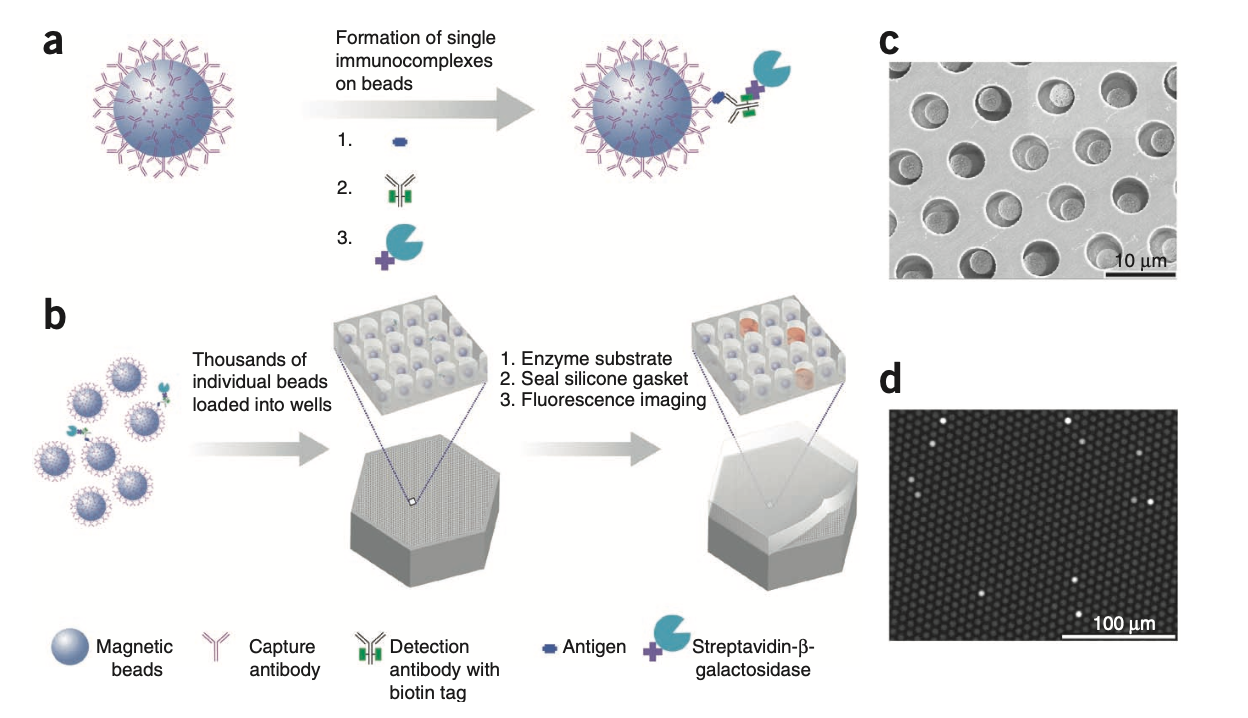 General principle of the digital elisa tests